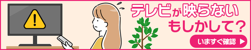 テレビが映らない！もしかして？